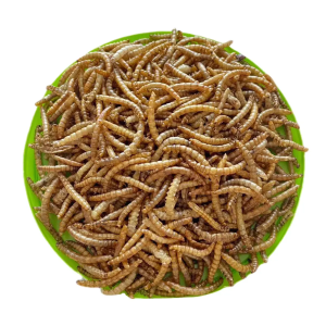 products插图4