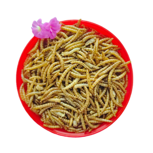 products插图2