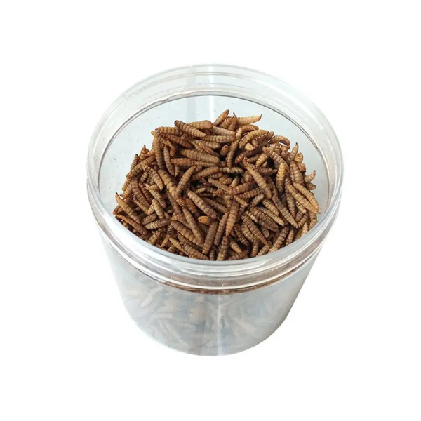 Innosentia Dried Black Soldier Fly Larvae