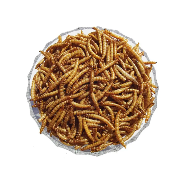 Innosentia Bird Dried Mealworm Topping - Image 3