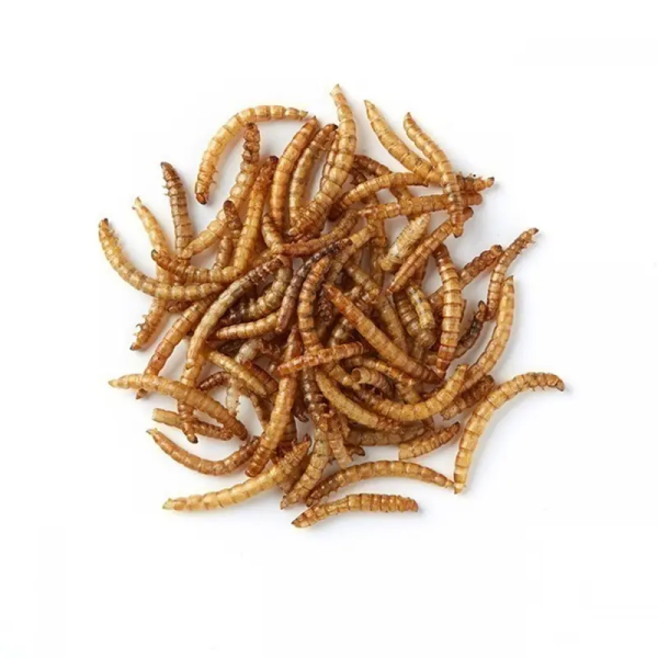 Innosentia Natural Dried Mealworms 850g - Image 2